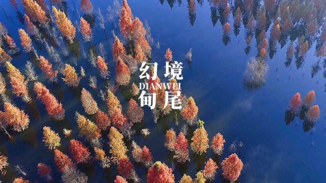 森林之神萨梯