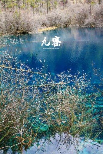 紧急通知!八部门联合部署开展全省校外培训机构消防安全检查