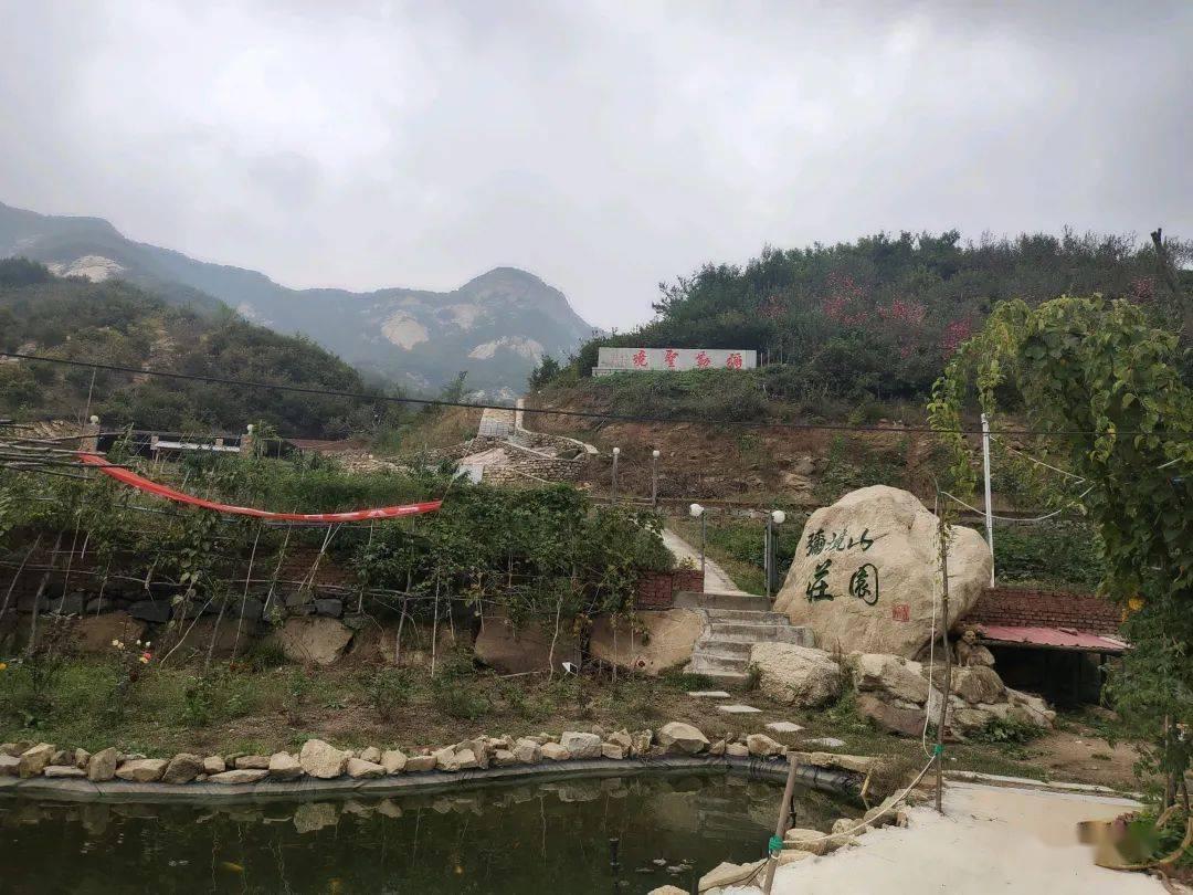 证监会：全力维护资本市场稳定运行