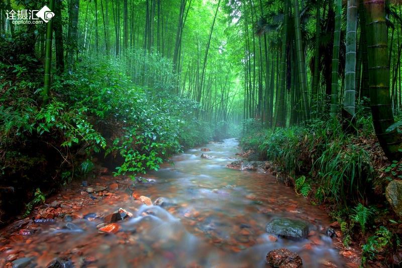 本宫来自古代