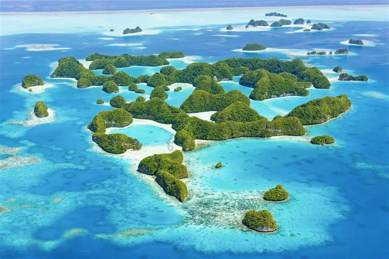 全面实施“强城行动” 高水平建设温州湾新区、奋力推进“一区五城”