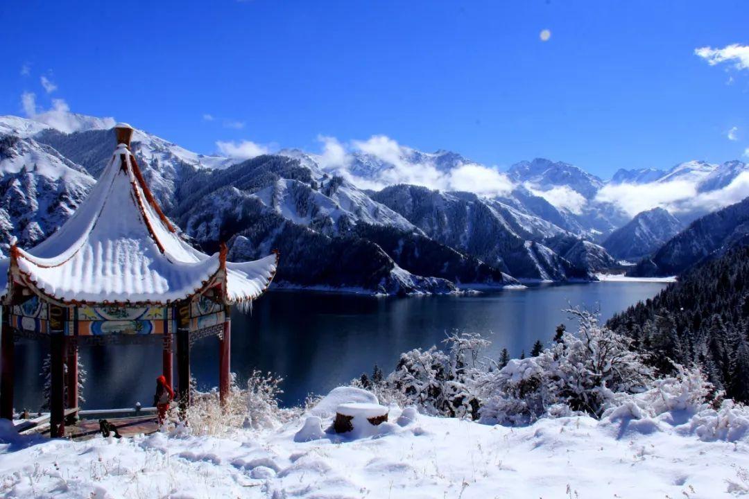 我的汽车想提前3个月审车，这样强险应该提前买吗？游戏画面